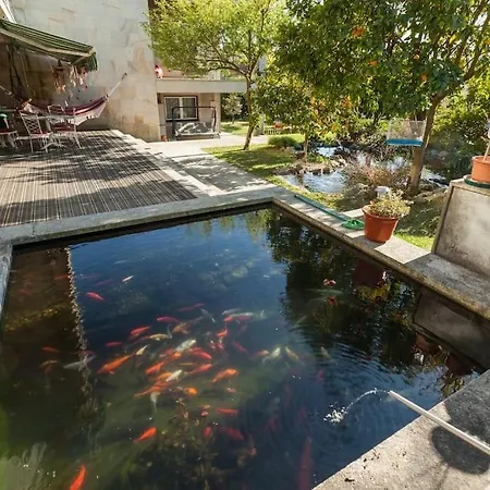 Apartamento Sweet - 4