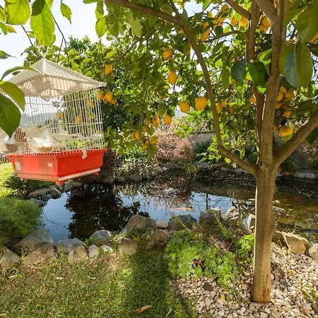 Apartamento Sweet - 4