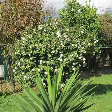 Apartamento Sweet - 4 *