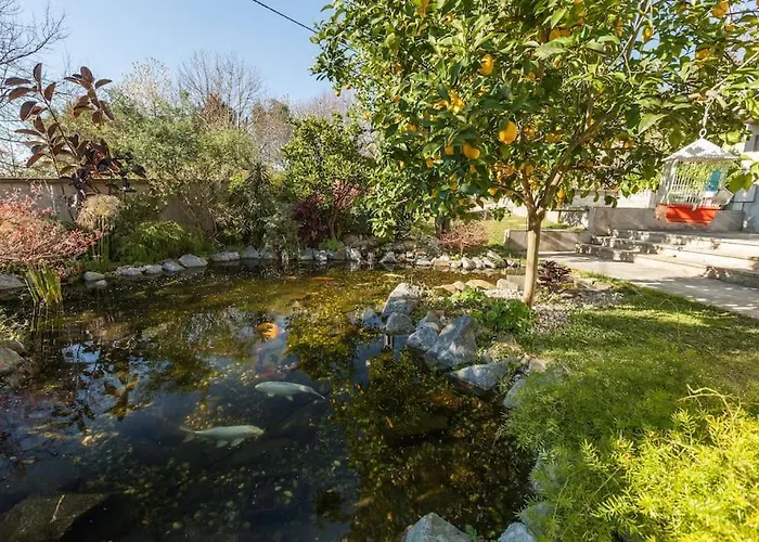 Sweet - 4 * 布拉加